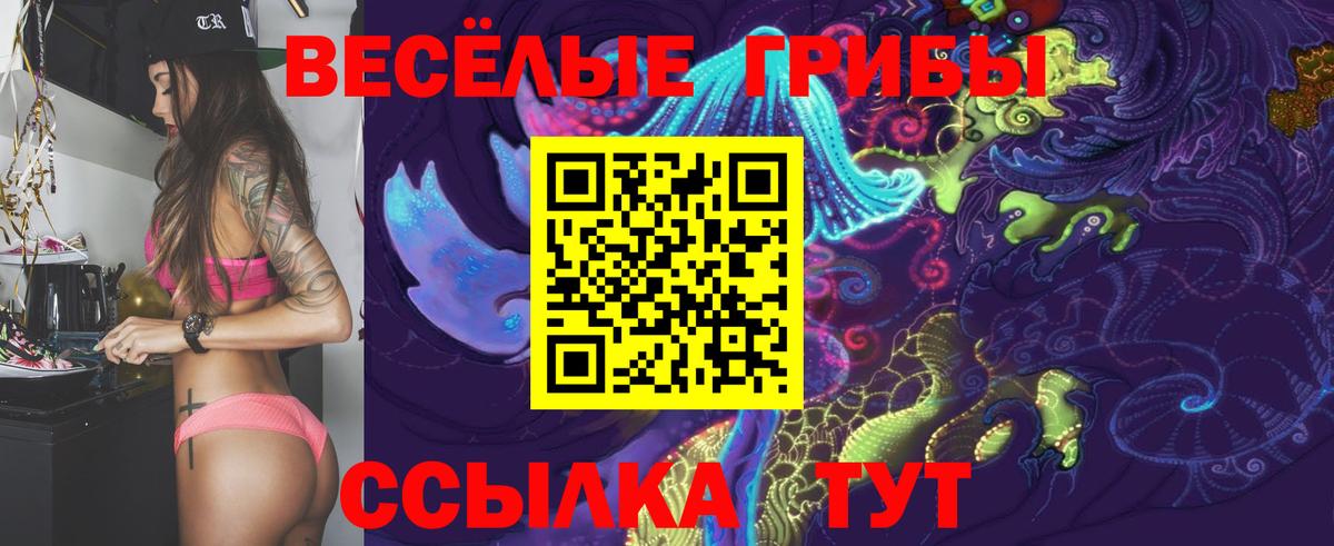 Галлюциногенные грибы Psilocybe  продажа наркотиков  Кашира  Псилоцибиновые грибы мицелий  Вход с VPN 